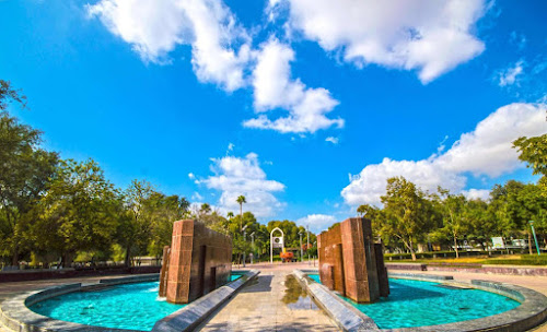 Mushrif Park Swimming Pool