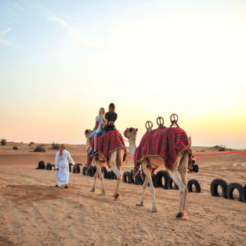 camel ride desert safari