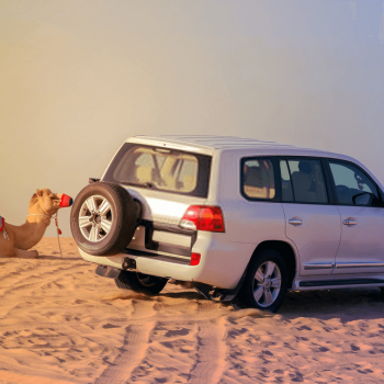 desert safari
