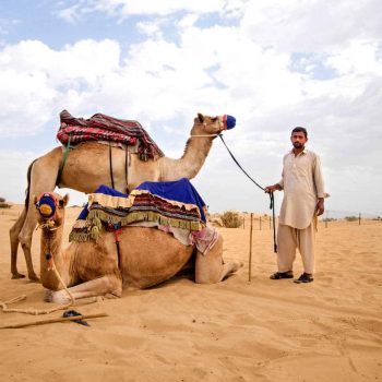 camel ride safari dubai